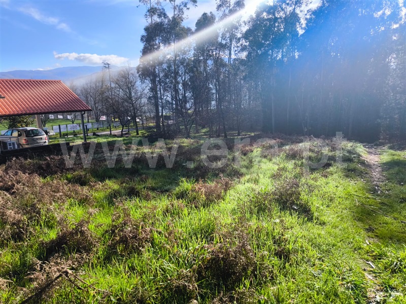 Terreno  Arcos de Valdevez, Sabadim - 1468544 - 6