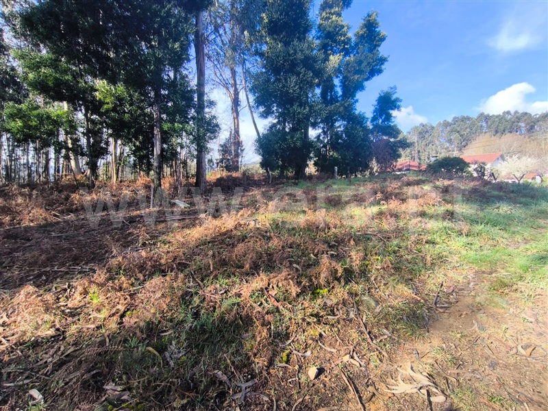 Terreno  Arcos de Valdevez, Sabadim - 1468544 - 8
