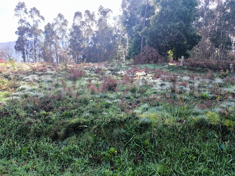 Terreno  Arcos de Valdevez, Sabadim - 1468544 - 10