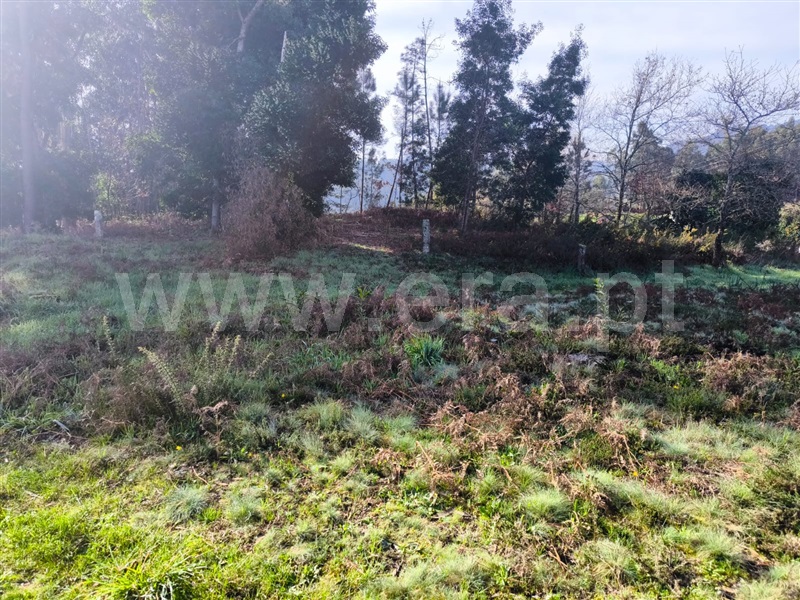 Terreno  Arcos de Valdevez, Sabadim - 1468544 - 11