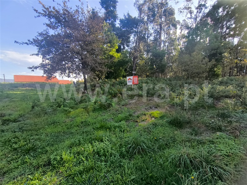 Terreno  Arcos de Valdevez, Sabadim - 1512503 - 3