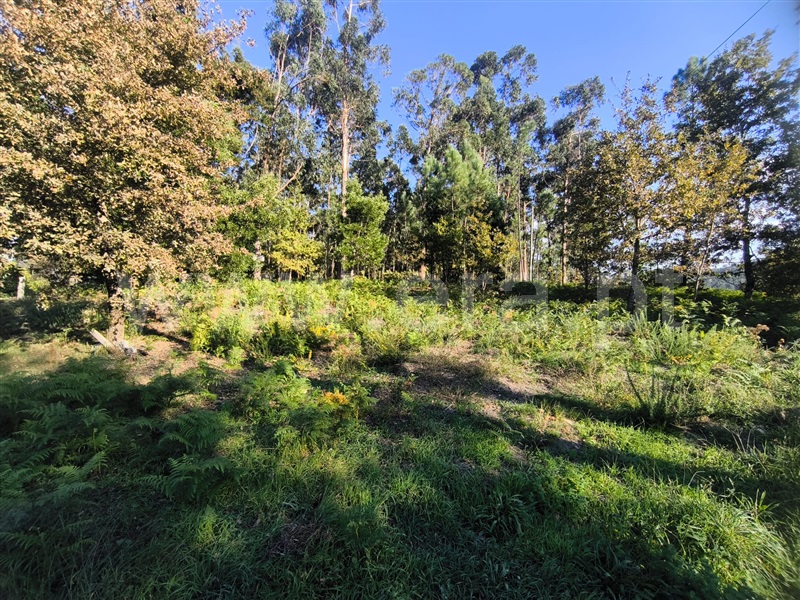 Terreno  Arcos de Valdevez, Sabadim - 1512503 - 9
