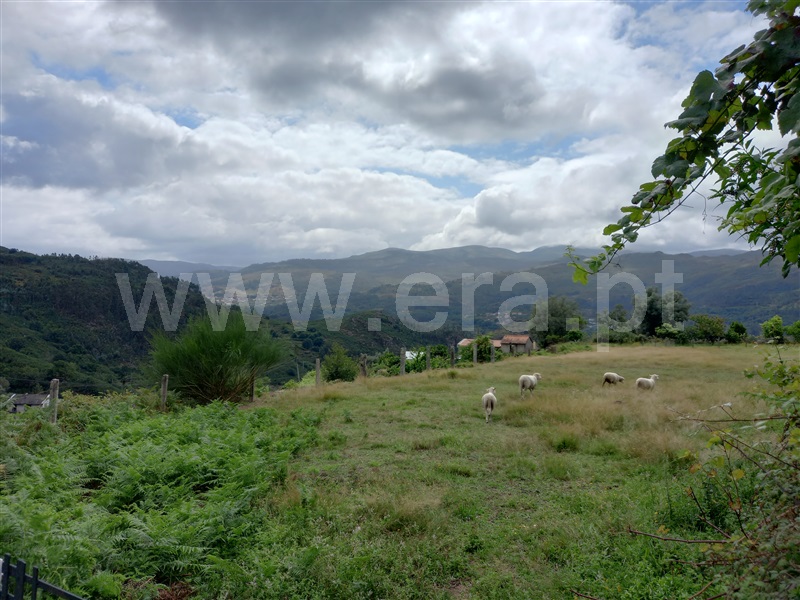 Terreno  Arcos de Valdevez, Soajo - 1192974 - 2