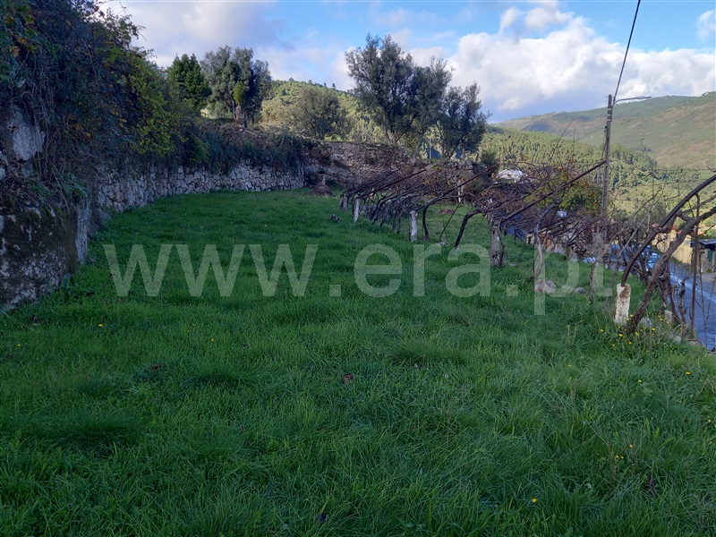 Terreno / Arcos de Valdevez, Soajo