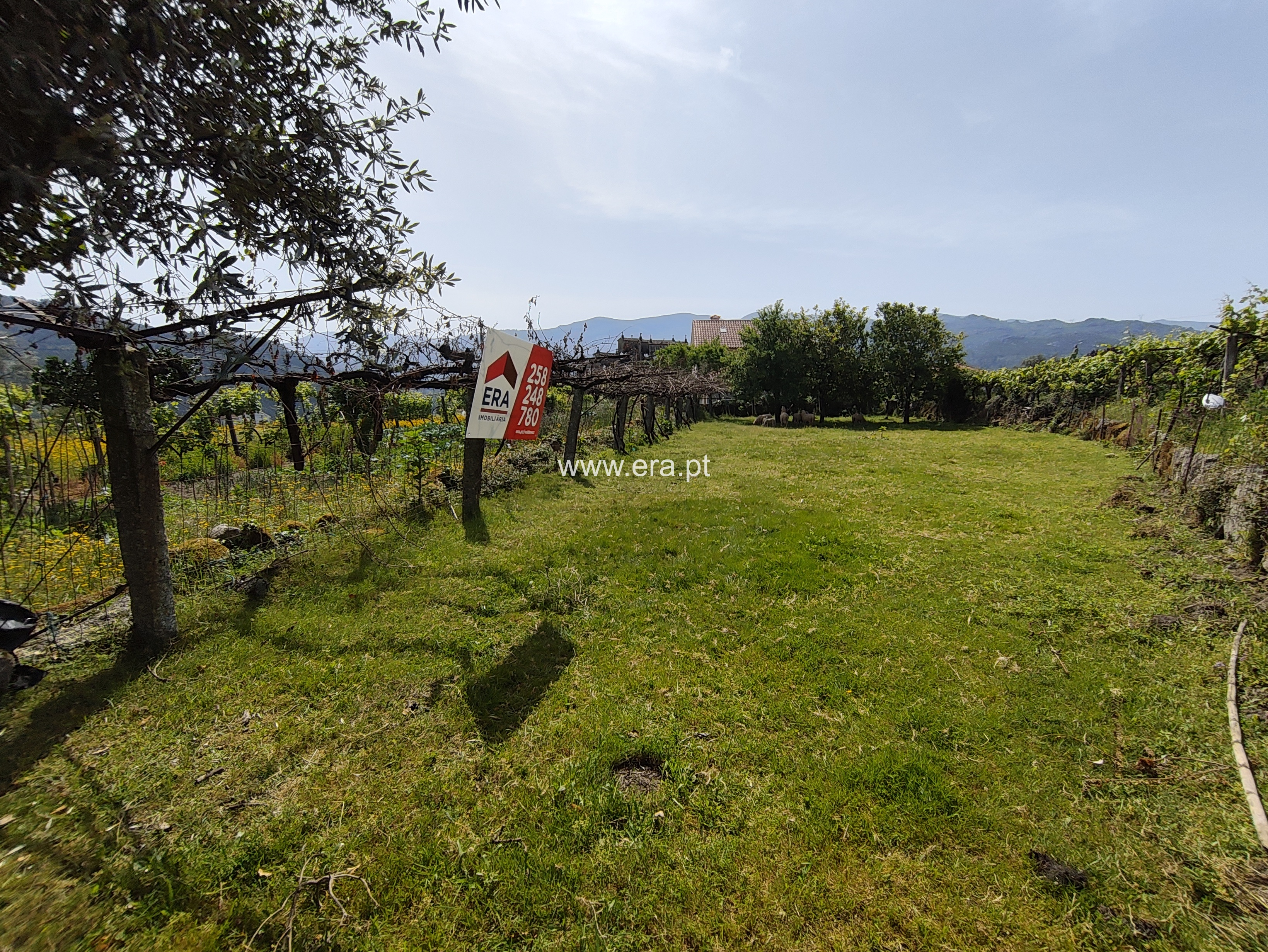 Terreno / Arcos de Valdevez, Soajo