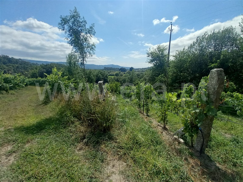 Terreno  Arcos de Valdevez, Souto e Tabaçô - 1357949 - 1