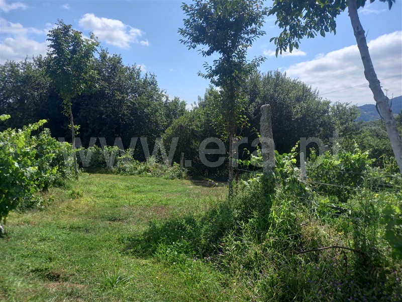 Terreno / Arcos de Valdevez, Souto e Tabaçô