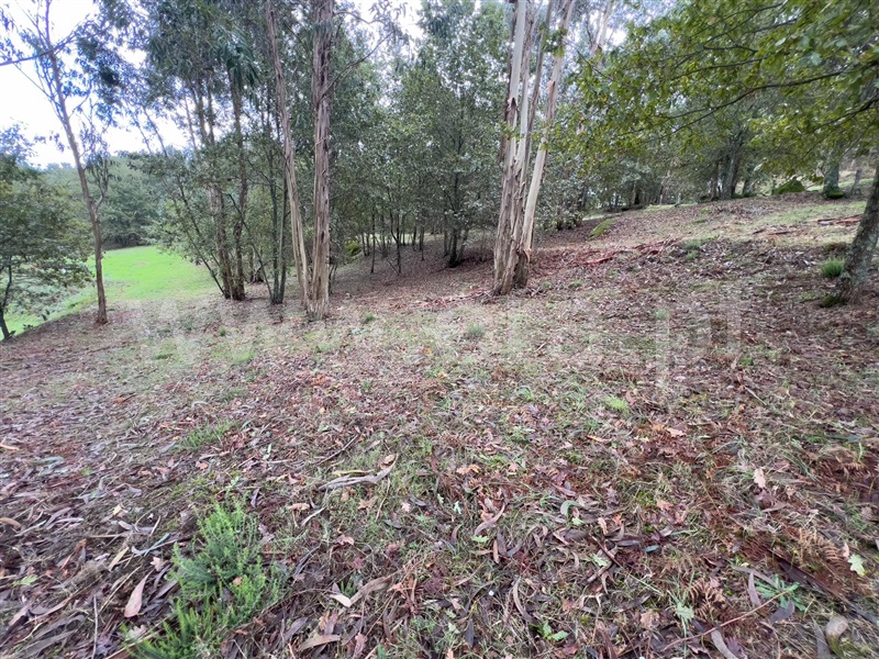 Terreno  com Rústico Arcos de Valdevez, Souto e Tabaçô - 1421722 - 2