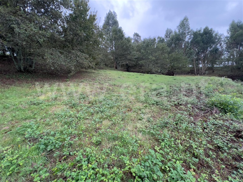 Terreno  com Rústico Arcos de Valdevez, Souto e Tabaçô - 1421722 - 5