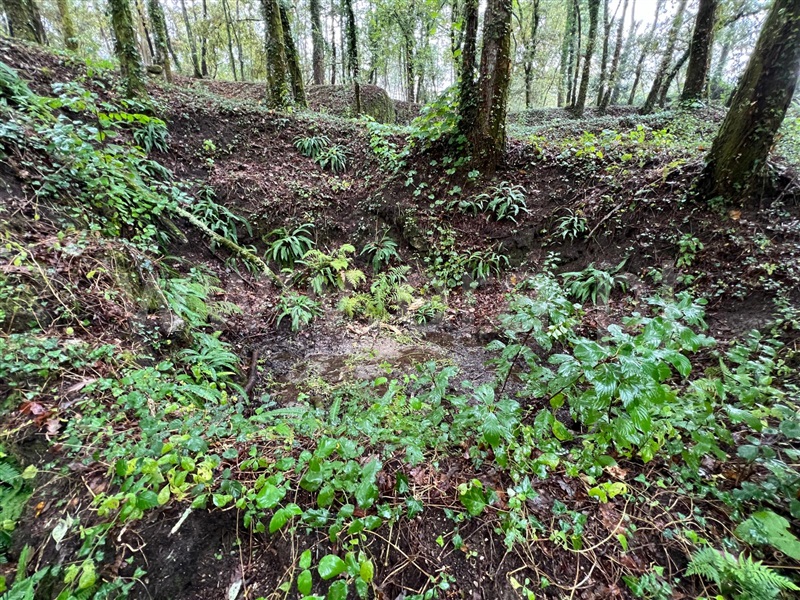 Terreno  Arcos de Valdevez, Souto e Tabaçô - 1436647 - 4