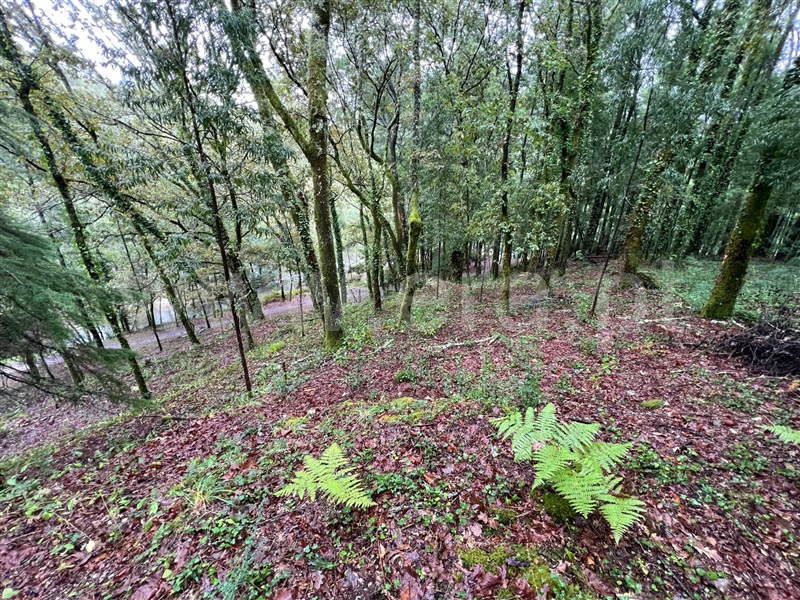 Terreno  Arcos de Valdevez, Souto e Tabaçô - 1436647 - 5