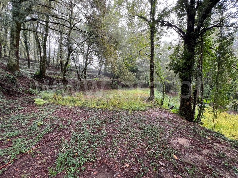 Terreno  Arcos de Valdevez, Souto e Tabaçô - 1436647 - 6