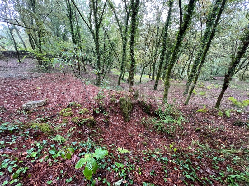 Terreno  Arcos de Valdevez, Souto e Tabaçô - 1436647 - 7