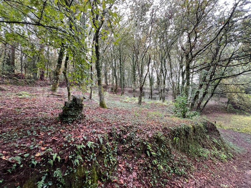 Terreno  Arcos de Valdevez, Souto e Tabaçô - 1436647 - 8