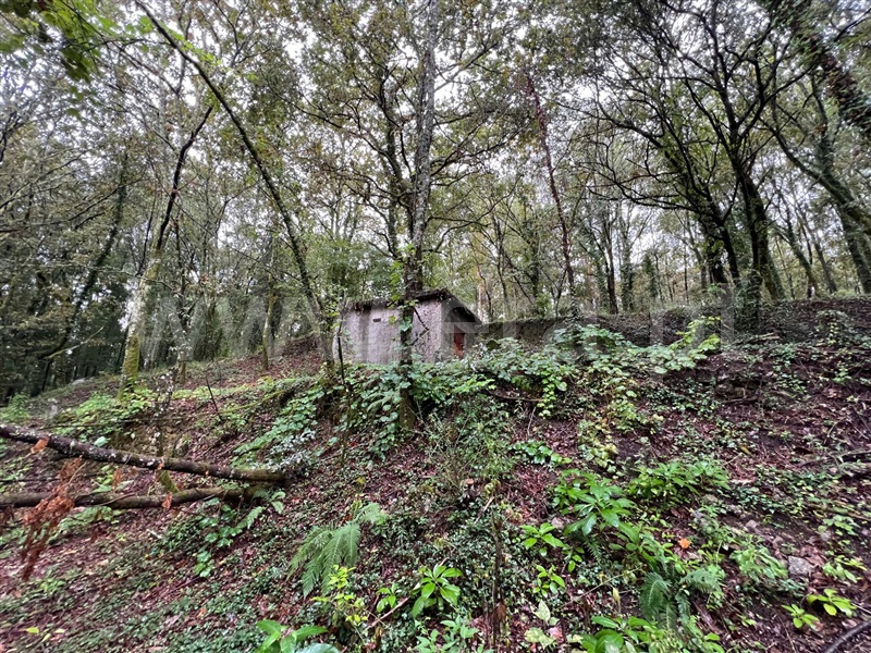 Terreno / Arcos de Valdevez, Souto e Tabaçô