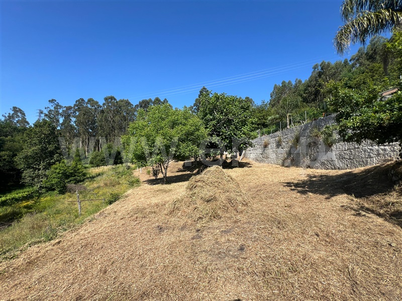 Terreno / Arcos de Valdevez, Souto e Tabaçô