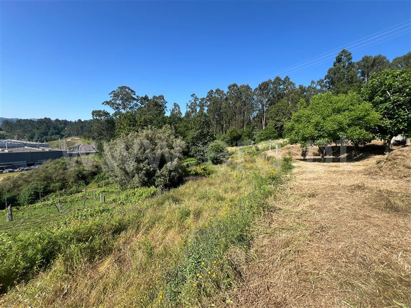 Terreno  Arcos de Valdevez, Souto e Tabaçô - 1485044 - 3