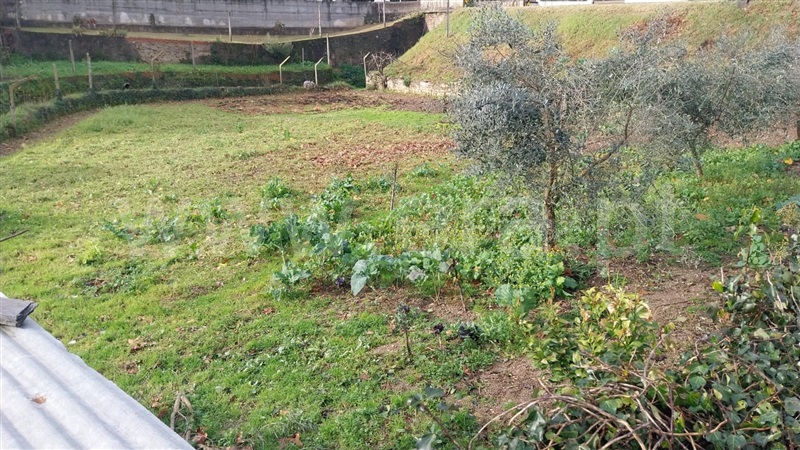 Terreno / Arganil, Côja e Barril de Alva