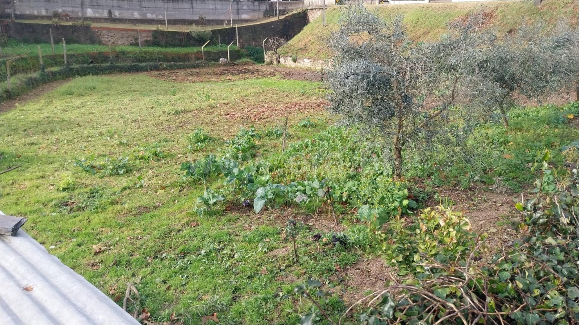 Terreno em Arganil