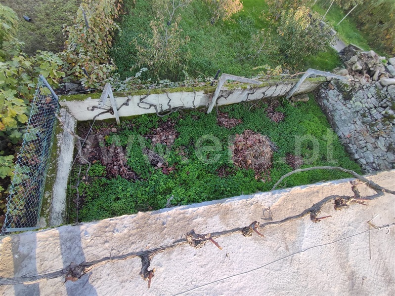 Terreno  Armamar, Aricera e Goujoim - 1459117 - 4