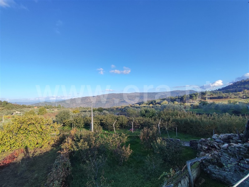 Terreno / Armamar, Aricera e Goujoim