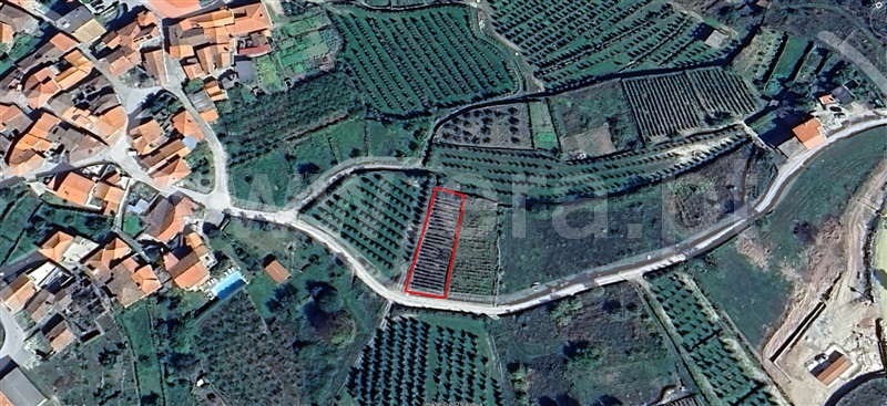 Terreno  Armamar, Aricera e Goujoim - 1459144 - 3