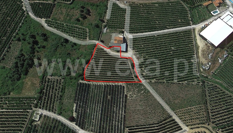 Terreno / Armamar, Armamar