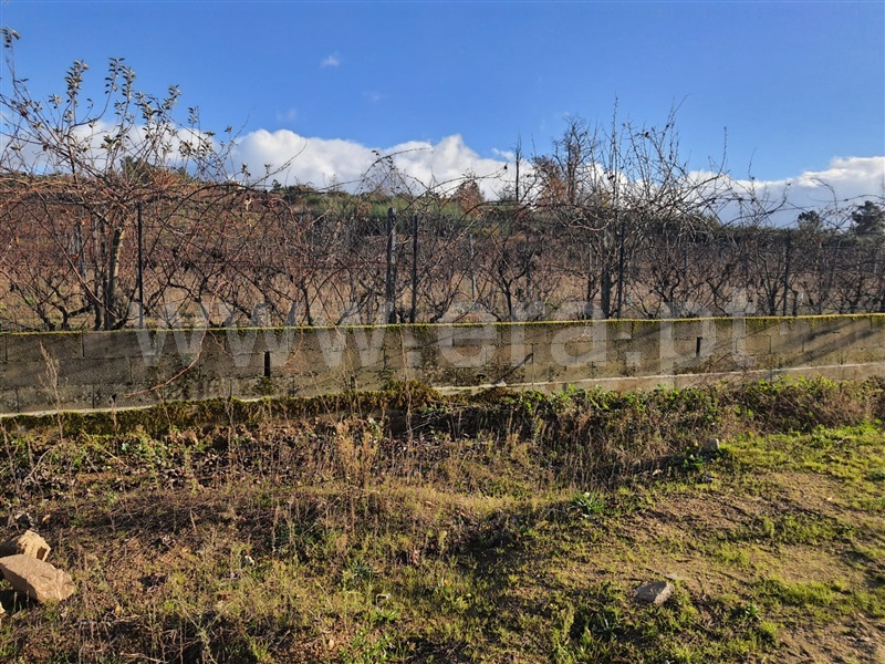 Terreno  Armamar, Fontelo - 1138492 - 4