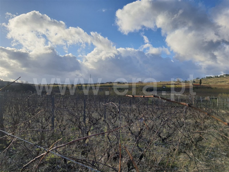 Terreno  Armamar, Fontelo - 1138492 - 5