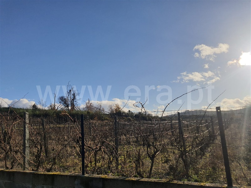 Terreno  Armamar, Fontelo - 1138492 - 8