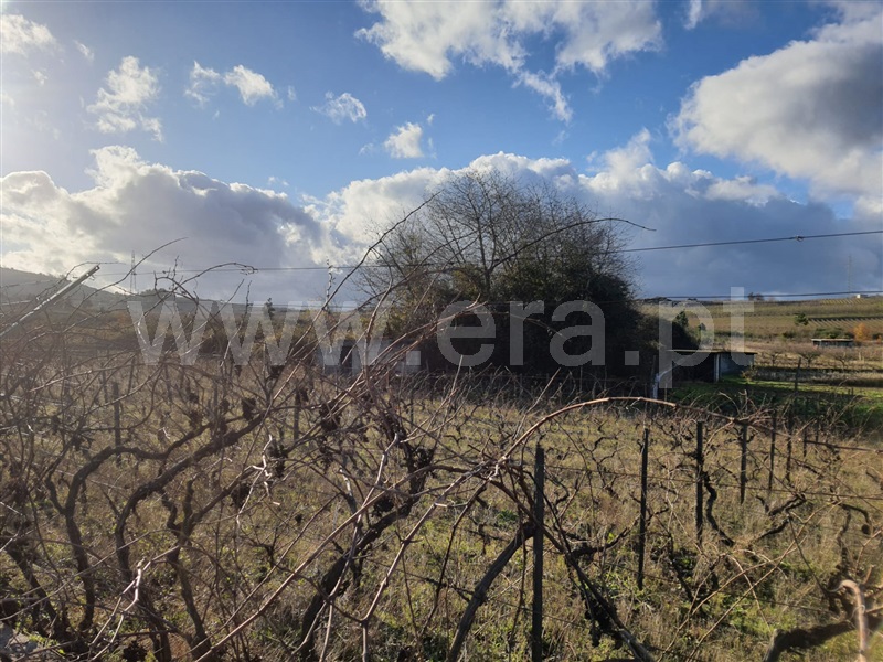 Terreno  Armamar, Fontelo - 1138492 - 9