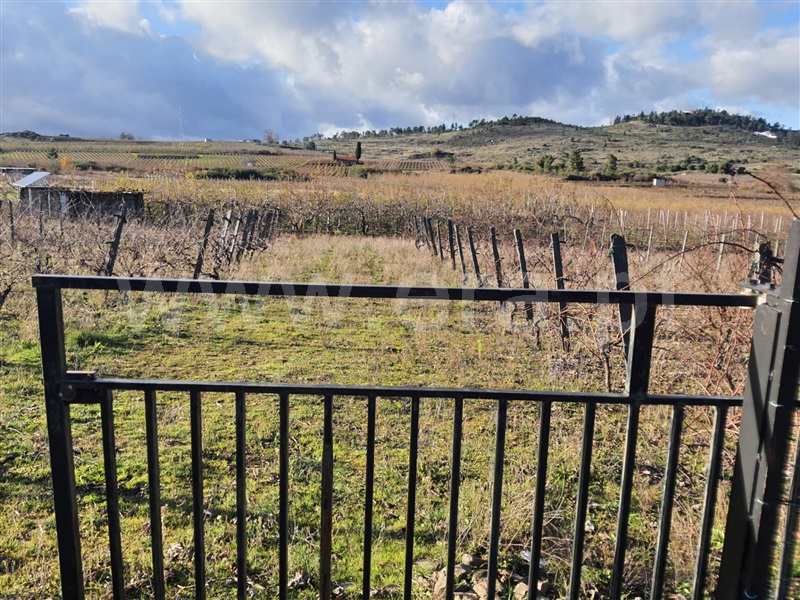 Terreno / Armamar, Fontelo