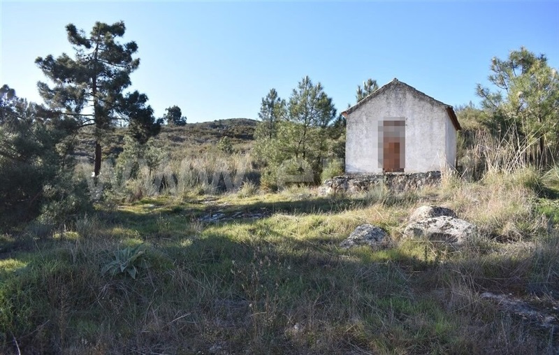 Moradia Isolada  Armamar, Fontelo - 1227001 - 4