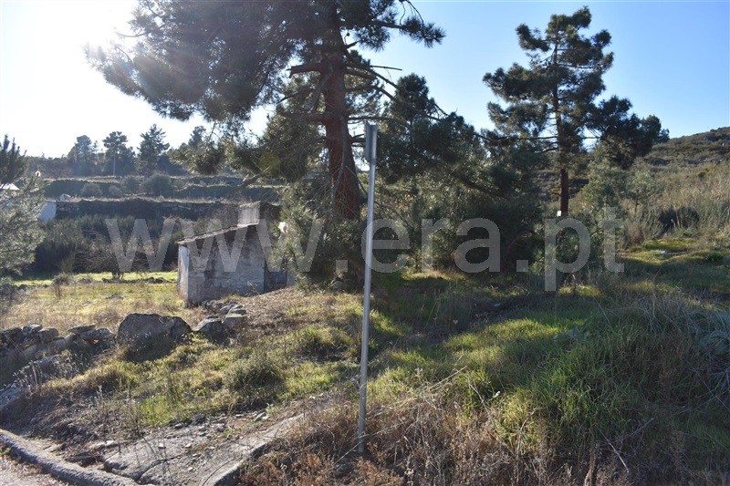 Moradia Isolada  Armamar, Fontelo - 1227001 - 5
