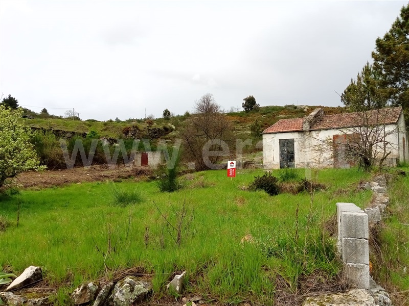Terreno  Armamar, Fontelo - 1227001 - 12