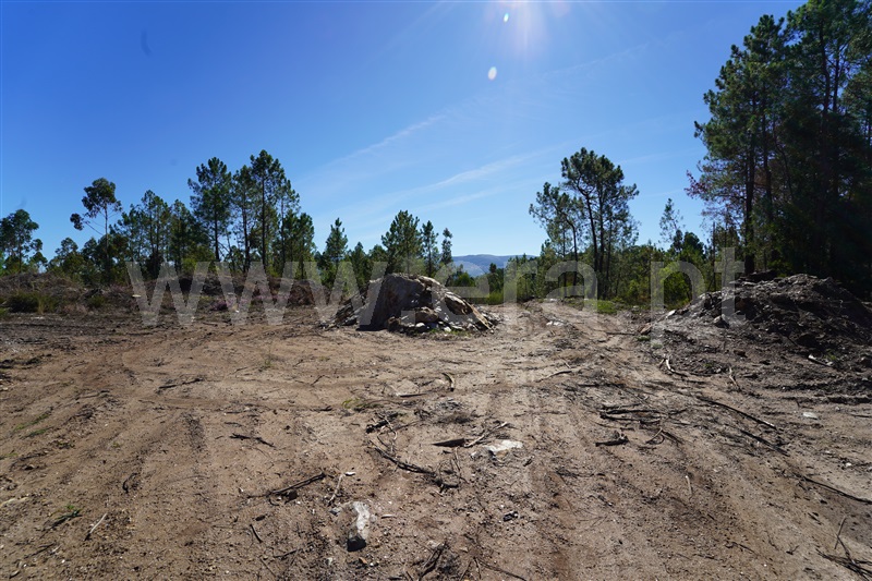 Terreno  Arouca, Mansores - 1512703 - 4