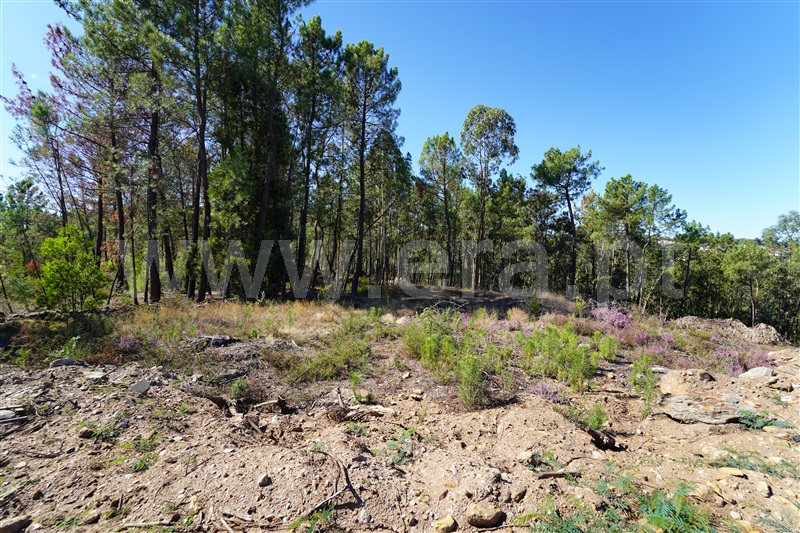 Terreno  Arouca, Mansores - 1512703 - 6