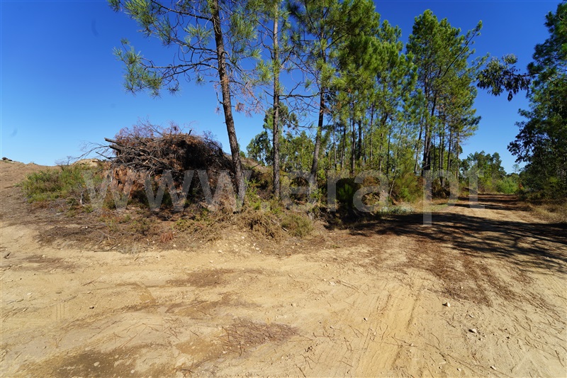 Terreno  Arouca, Mansores - 1512703 - 8