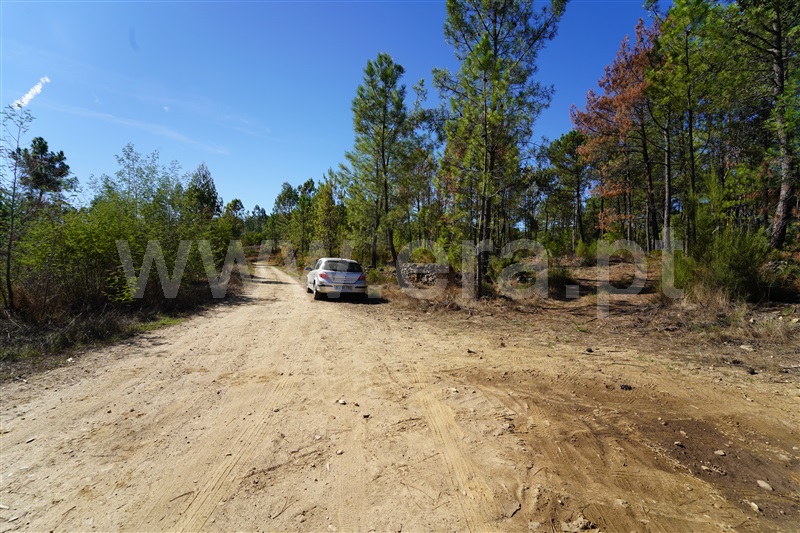 Terreno  Arouca, Mansores - 1512703 - 9