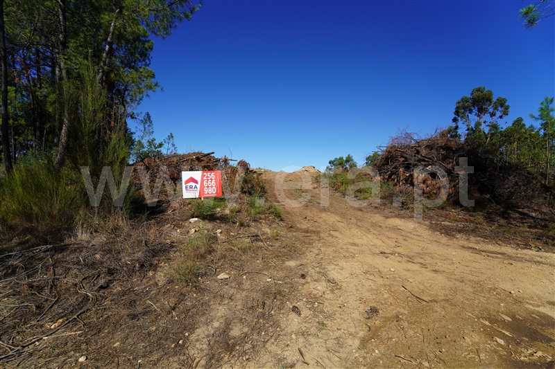 Terreno  Arouca, Mansores - 1512703 - 11