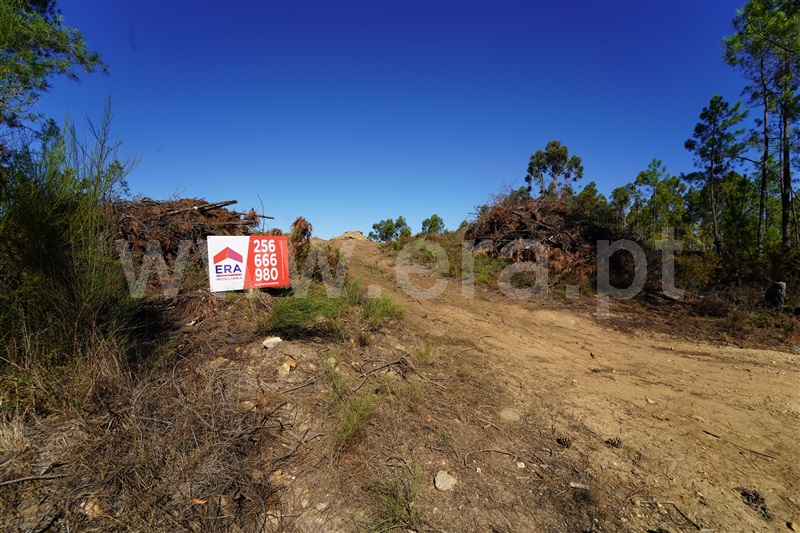 Terreno / Arouca, Mansores