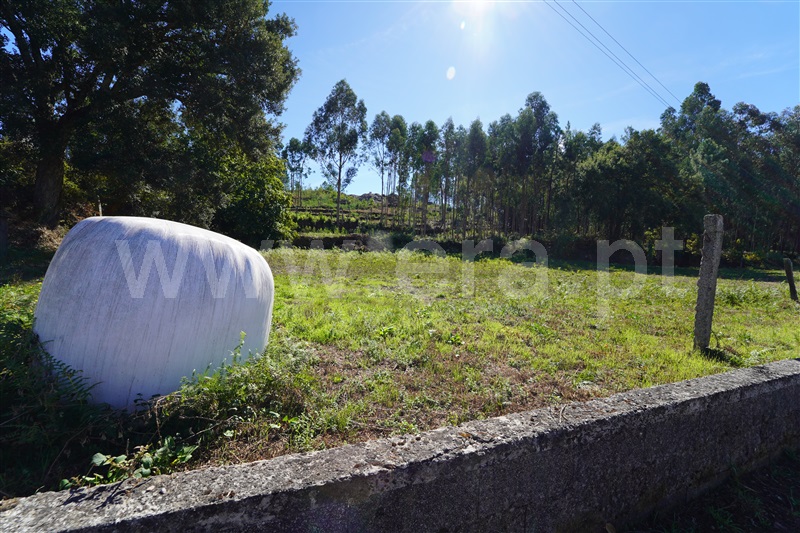 Terreno  Arouca, Mansores - 1512703 - 14