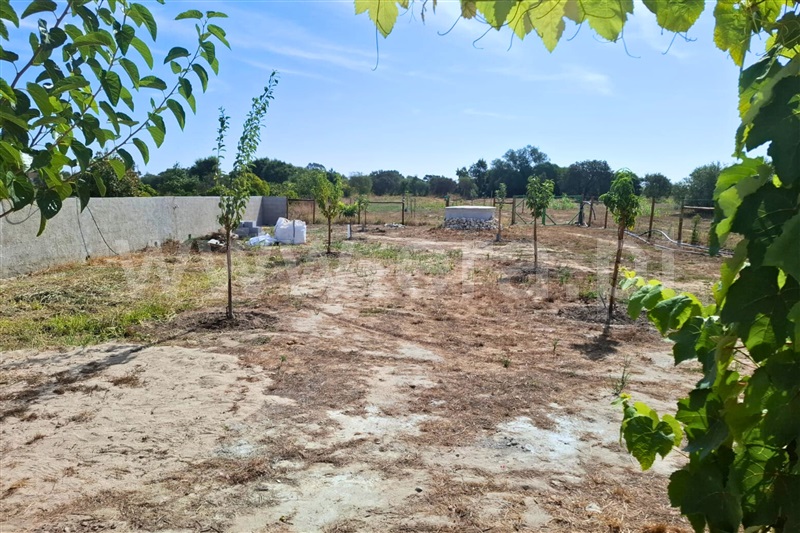 Terreno  Azambuja, Manique do Intendente, Vila Nova de São Pedro e Maçussa - 1505539 - 1