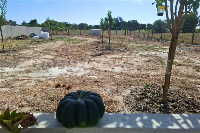 Terreno  Azambuja, Manique do Intendente, Vila Nova de São Pedro e Maçussa - 1505539 - 2