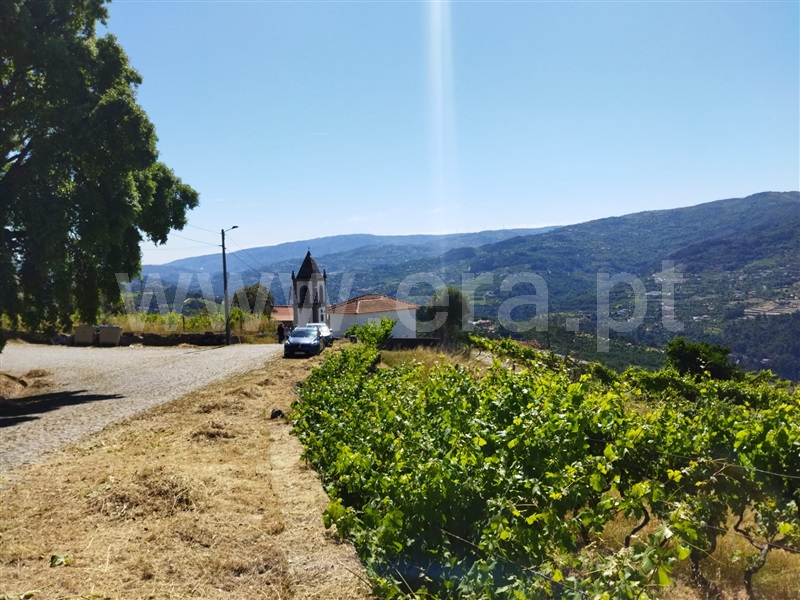 Terreno / Baião, Ancede e Ribadouro