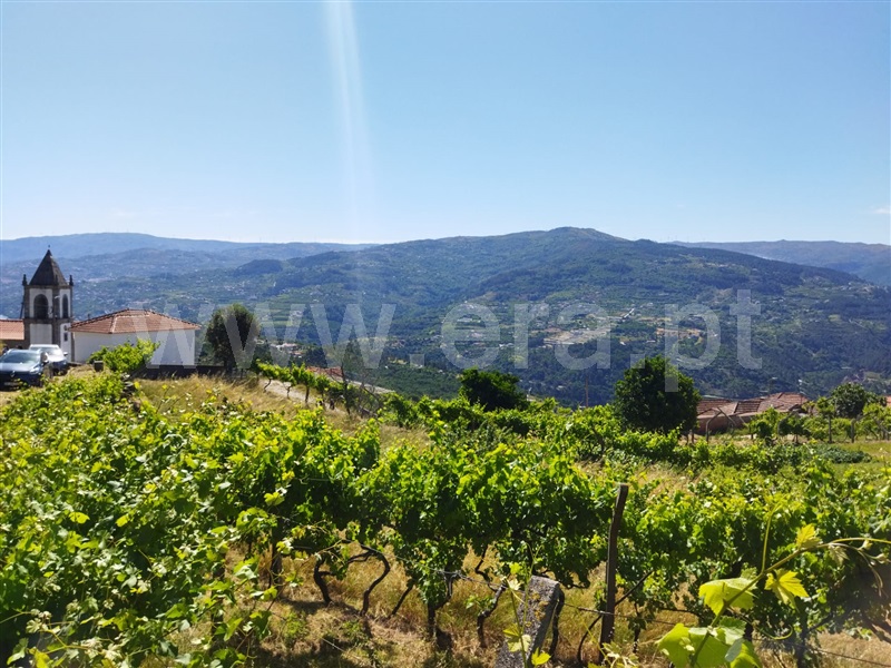 Terreno  Baião, Ancede e Ribadouro - 1182384 - 3