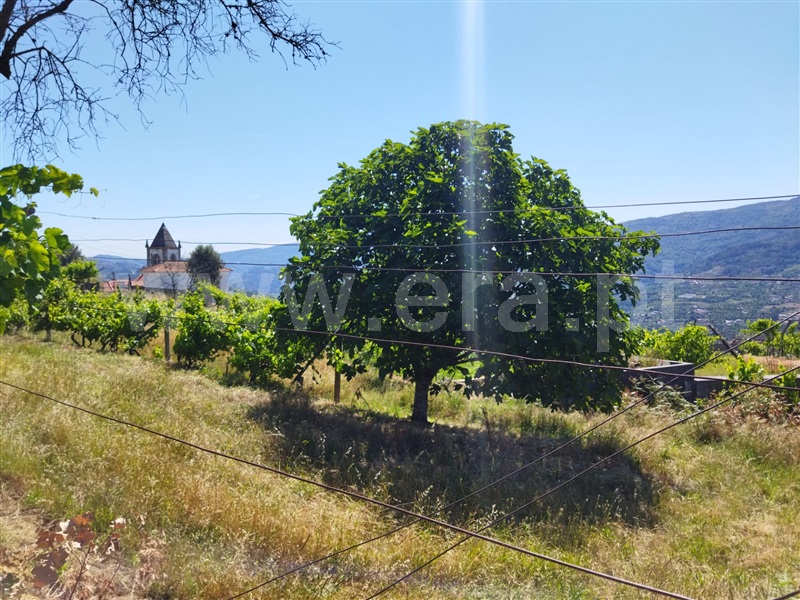 Terreno  Baião, Ancede e Ribadouro - 1182384 - 4