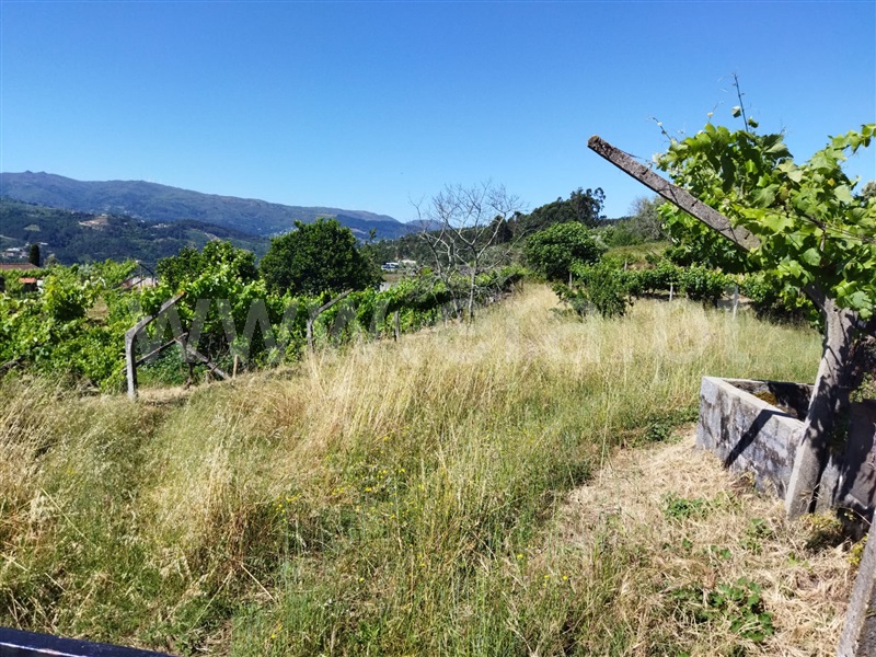 Terreno  Baião, Ancede e Ribadouro - 1182384 - 5
