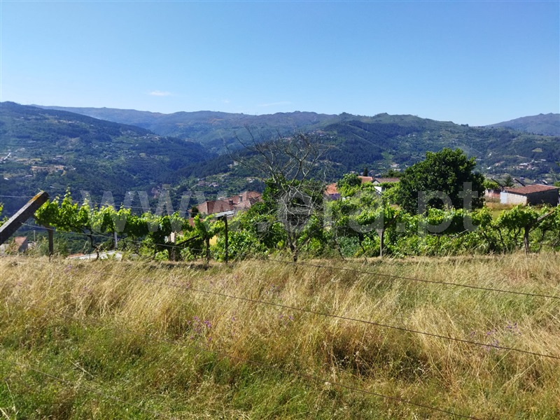 Terreno  Baião, Ancede e Ribadouro - 1182384 - 6