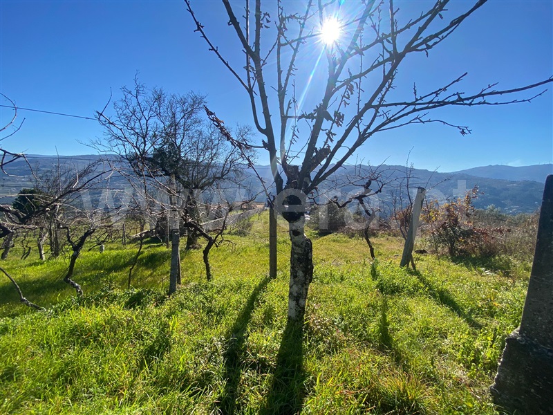 Terreno  Baião, Ancede e Ribadouro - 1182384 - 8